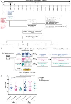 Detection of differentially culturable tubercle bacteria in sputum from drug-resistant tuberculosis patients